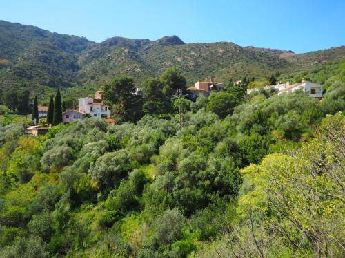 Photo of Others in La Vall de Santa Creu