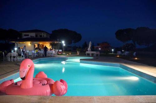Photo of Others in Nettuno