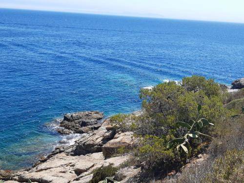 Photo of Outdoor in El Mas Bosca