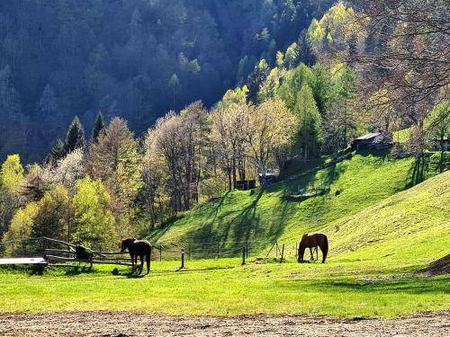 Photo of Others in Domodossola