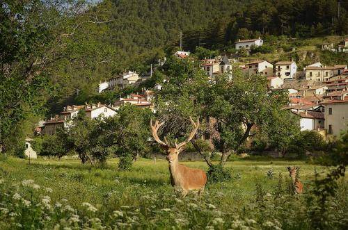 Photo of Others in Villetta Barrea