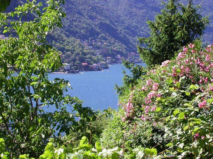 Photo of Others in Pognana Lario