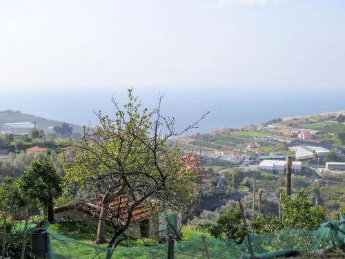 Photo of Others in Terzorio