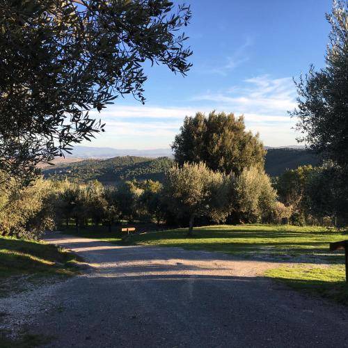 Photo of Others in Teverina di Cortona