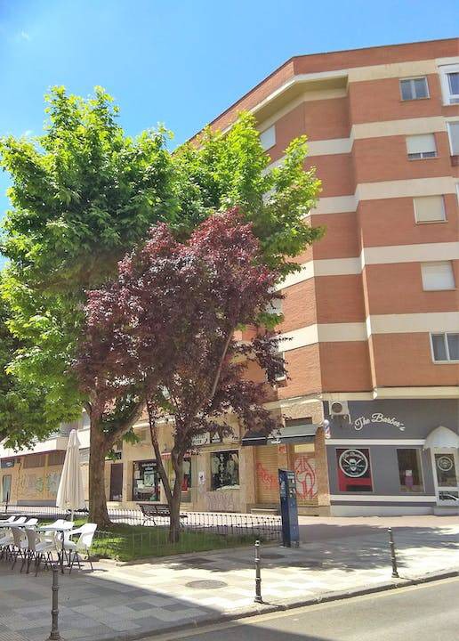 Photo of Buildings in Cuenca