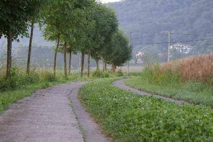 Photo of Others in La Vall de Bianya