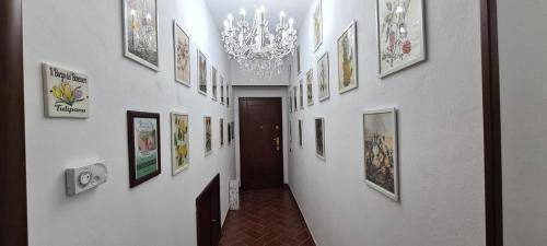 Photo of Others in Rocca Imperiale