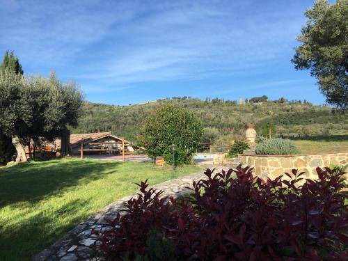 Photo of Outdoor in Teverina di Cortona