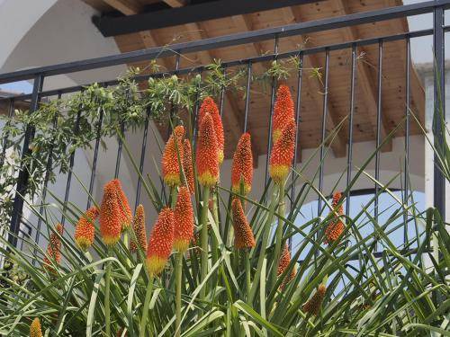Photo of Patio Balcony in Castelgomberto