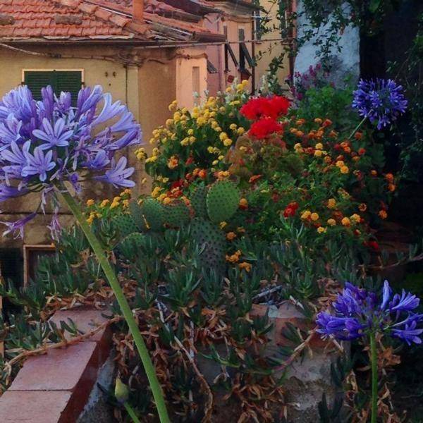 Photo of Others in Castelnuovo Magra