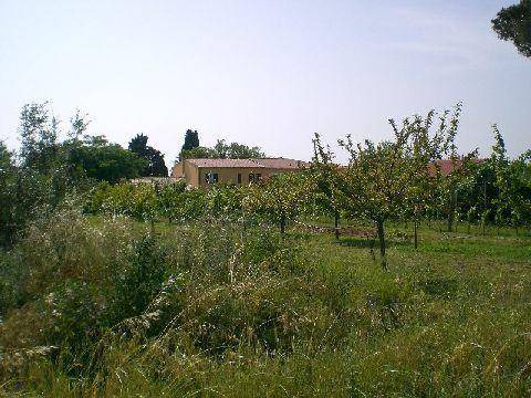 Photo of Others in Cecina