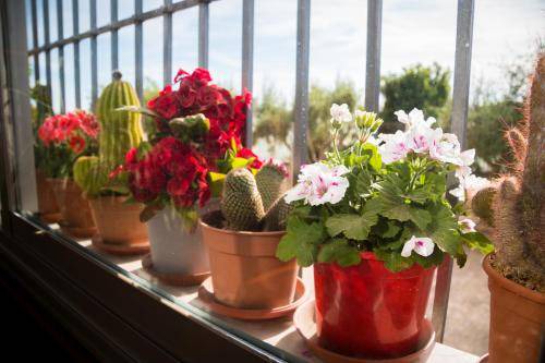 Photo of Patio Balcony in Adra