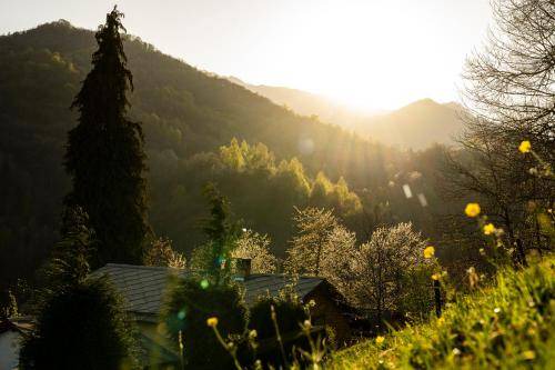 Photo of Others in Chiusa di Pesio