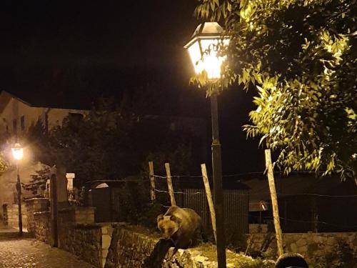 Photo of Others in Villetta Barrea
