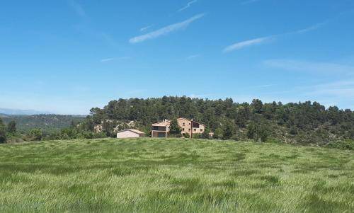 Photo of Others in Calonge de Segarra