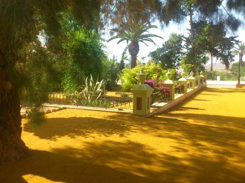 Photo of Others in La Alfoquia