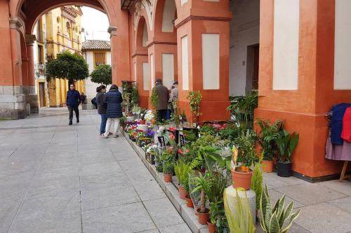 Photo of Others in San Pedro