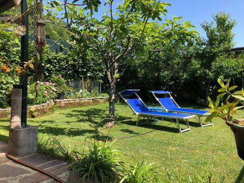 Photo of Others in Porto Ceresio