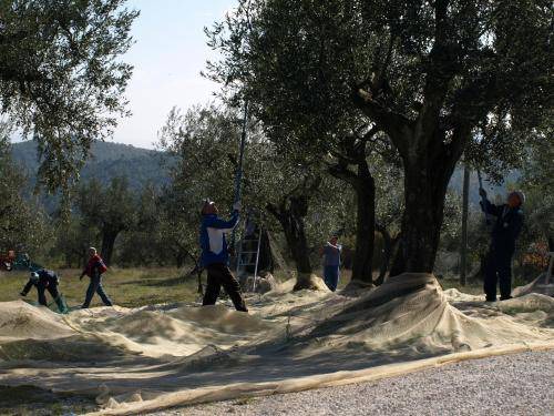 Photo of Others in Teverina di Cortona