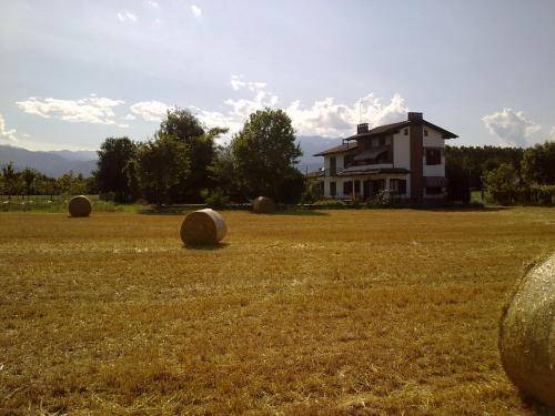 Photo of Others in Cavour