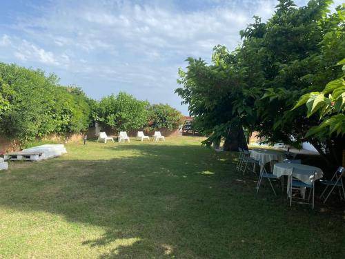 Photo of Others in Malgrat de Mar