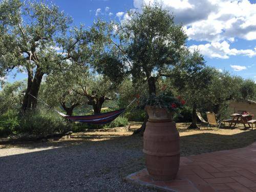 Photo of Others in Teverina di Cortona