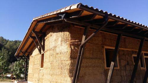Photo of Others in Arens de Lledo
