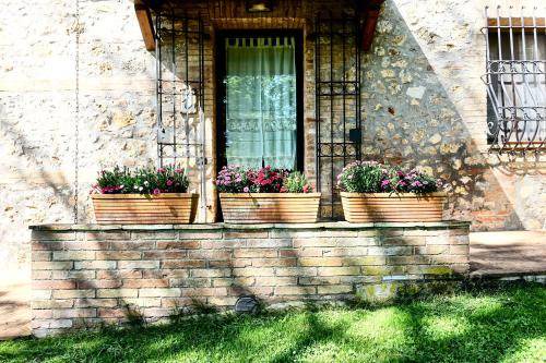 Photo of Buildings in Sovicille