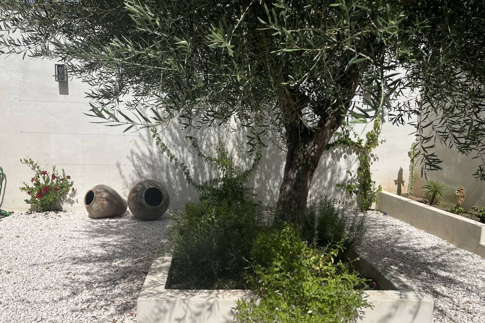 Photo of Outdoor in Sant Jaume dels Domenys