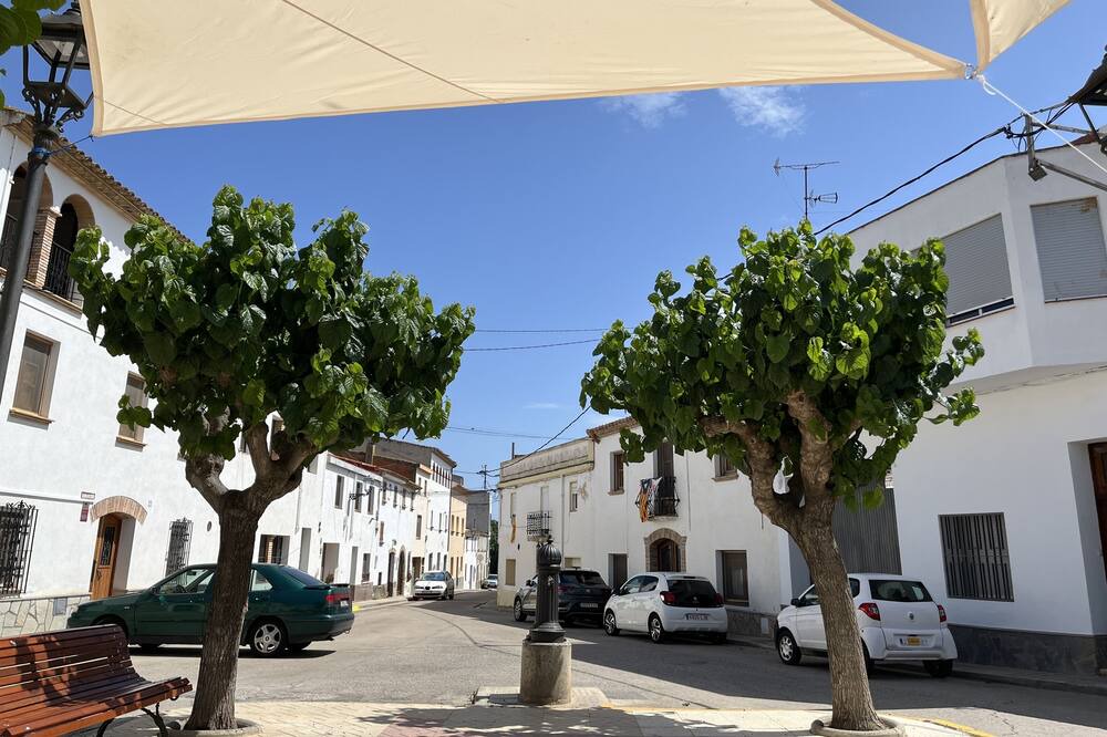Photo of Outdoor in Sant Jaume dels Domenys