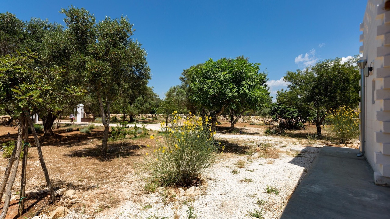 Photo of Outdoor in Maruggio