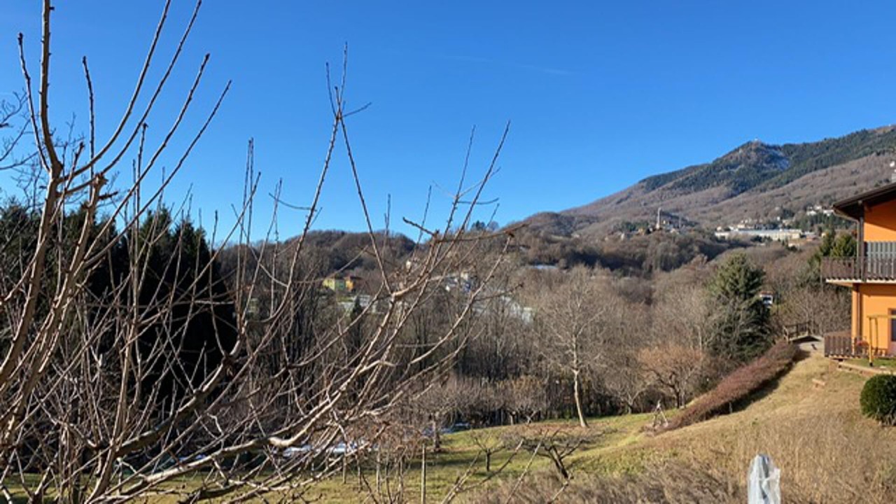 Photo of Others in Castagnea
