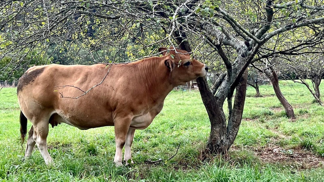 Photo of Outdoor in Yerbo