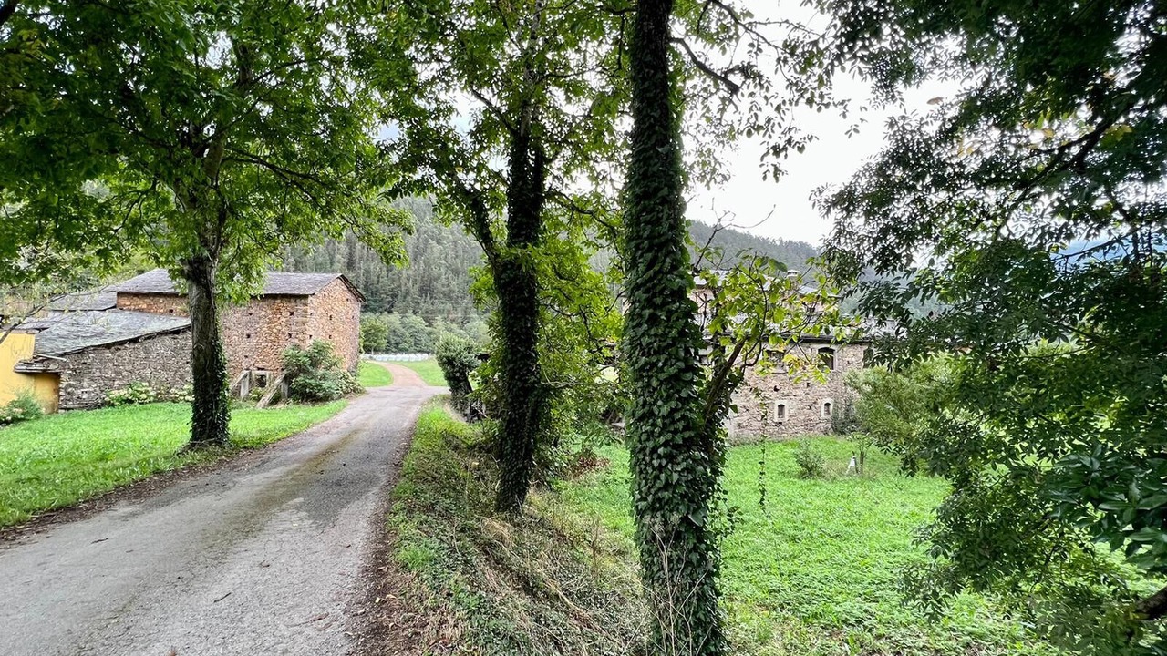 Photo of Outdoor in Yerbo