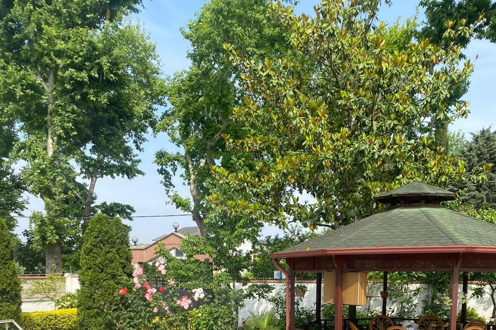 Photo of Outdoor in Samanl