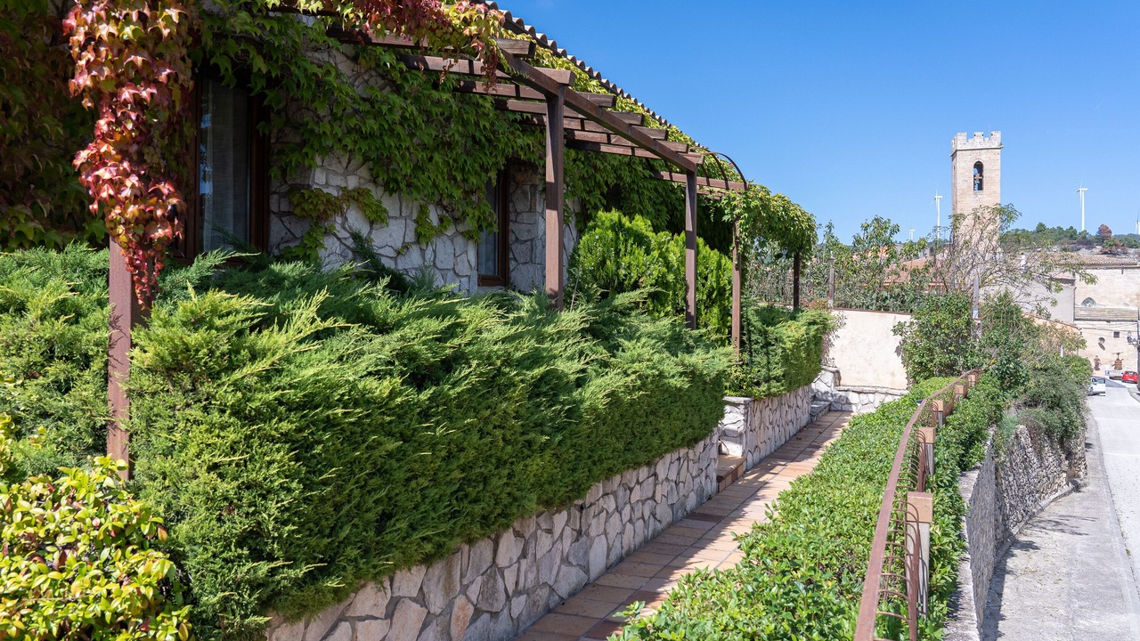Photo of Outdoor in Conesa