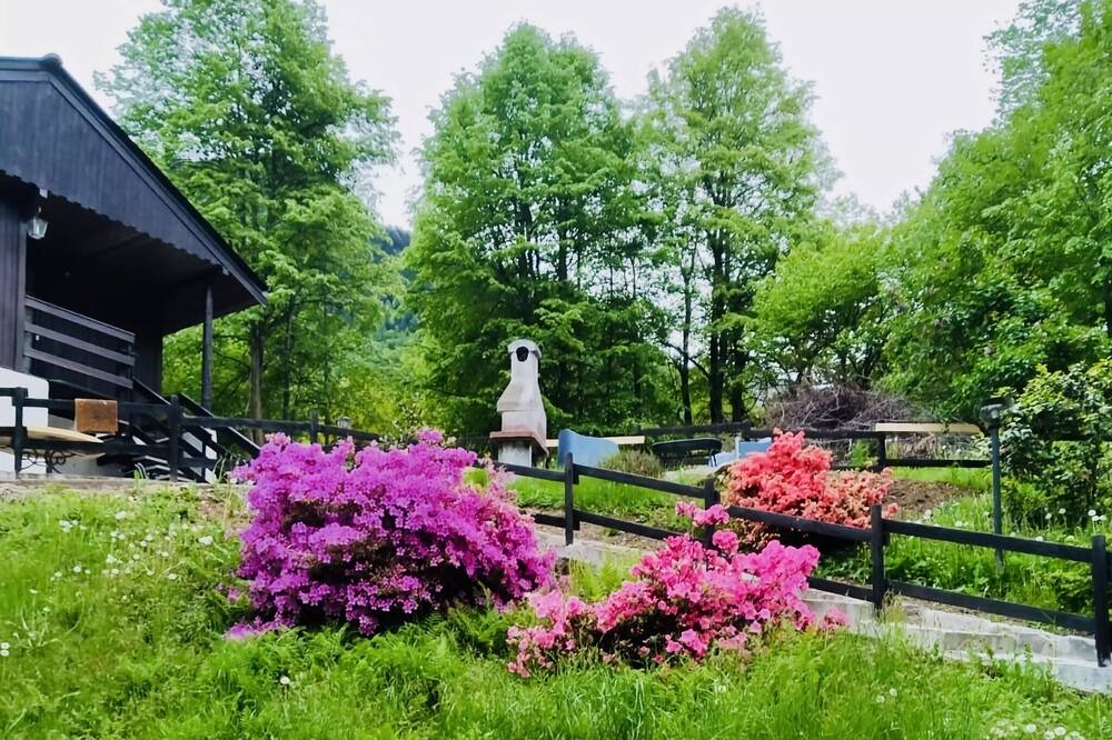 Photo of Outdoor in Bannio Anzino