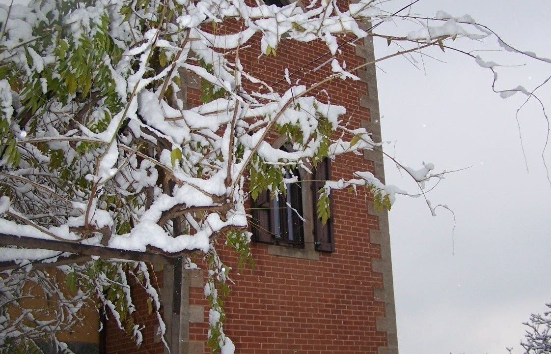 Photo of Outdoor in Belgirate