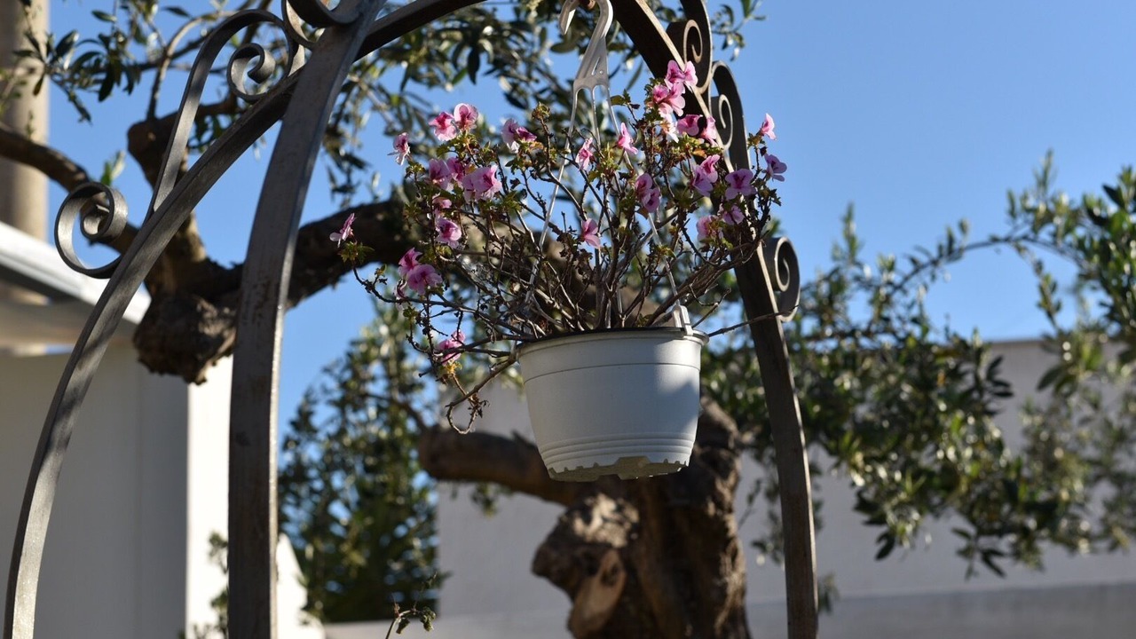 Photo of Outdoor in Marsala