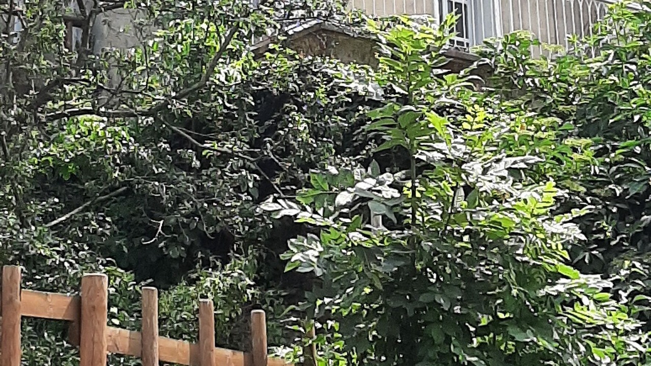 Photo of Outdoor in Melle