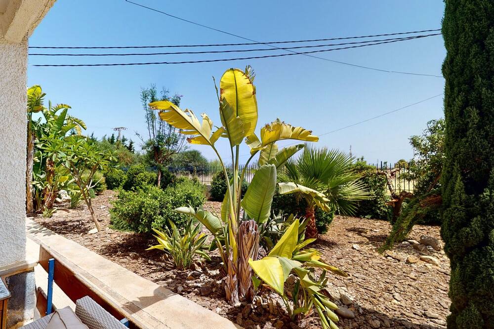 Photo of Outdoor in Miranda