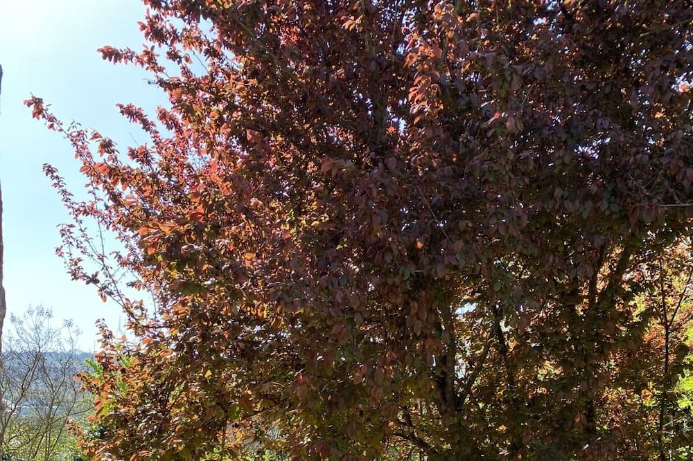 Photo of Outdoor in Dilovasi