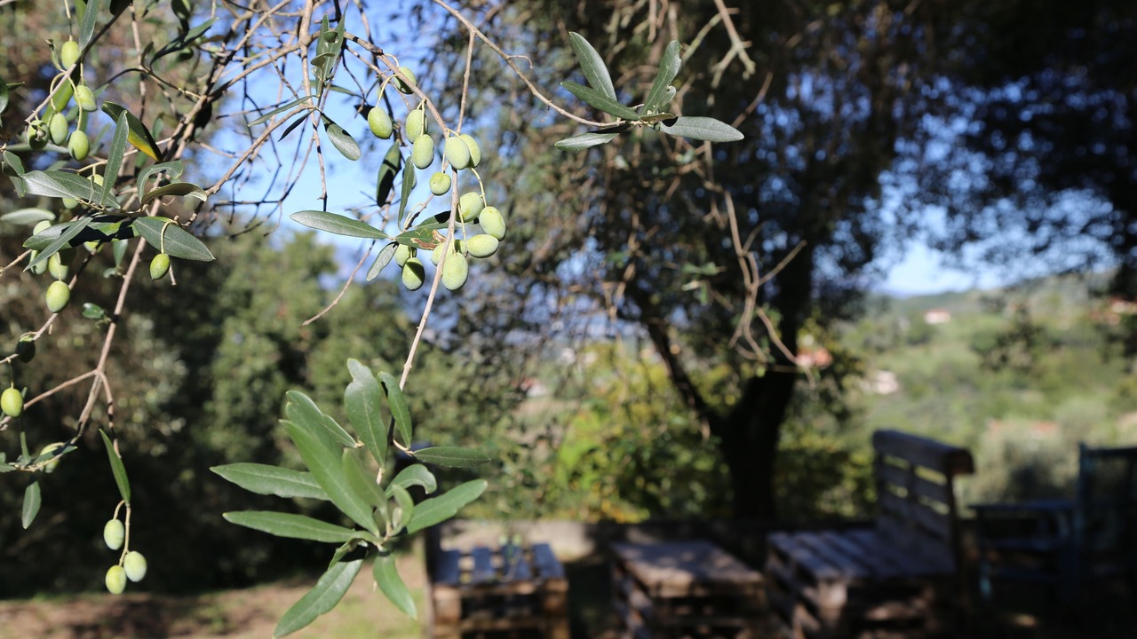 Photo of Outdoor in Caiazzo
