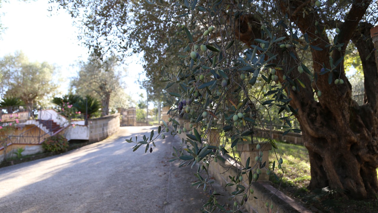 Photo of Outdoor in Caiazzo