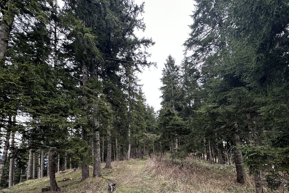 Photo of Outdoor in Macka