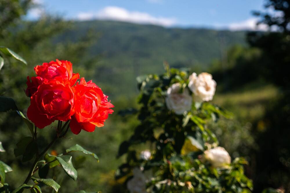 Photo of Outdoor in Serramonacesca