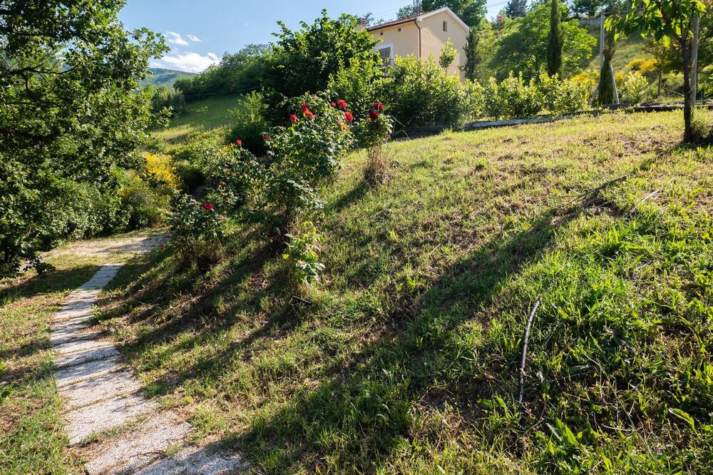 Photo of Outdoor in Serramonacesca