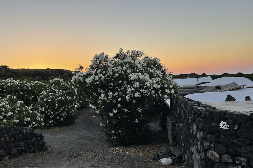 Photo of Outdoor in Kamma
