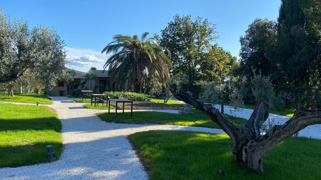 Photo of Outdoor in Cecina