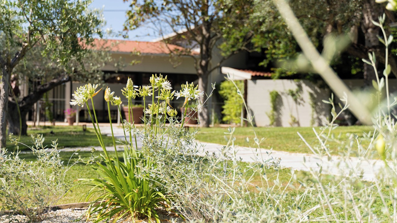 Photo of Outdoor in Cecina